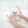 1_b7547954-8b79-49e8-9945-d624437ec758_720x Kitty