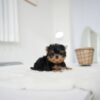 Betty (2) Betty