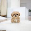 Benji